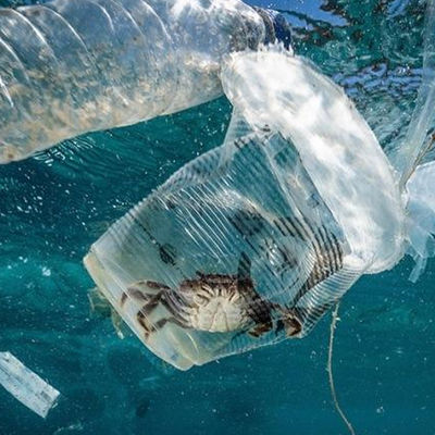 Laboratorium Testów Ul gleby i Wody Edukacja Urząd ds. Zanieczyszczeń Biologicznych Usługa uwierzytelniania strony trzeciej