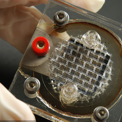 Usługi certyfikacyjne Iso CE Lab GTS Electric Razor Usługa uwierzytelniania innej firmy