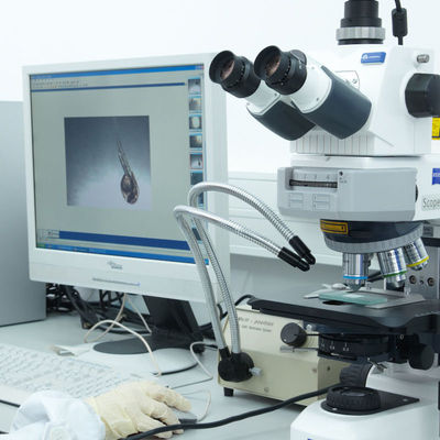 Usługi certyfikacyjne Iso CE Lab GTS Electric Razor Usługa uwierzytelniania innej firmy