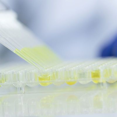 Food Glass Testing Labs Laboratories Laboratoria akredytowane przez FDA Usługa uwierzytelniania stron trzecich