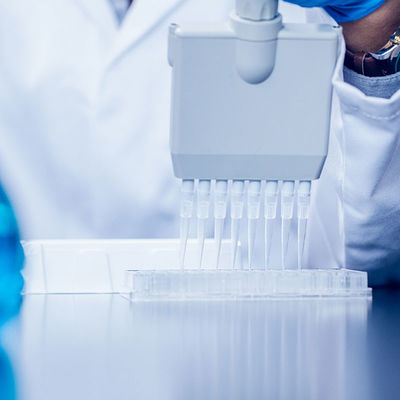 Jakość Certyfikat FDA Lab NEMKO Sgs Lab Testing Usługa uwierzytelniania innej firmy